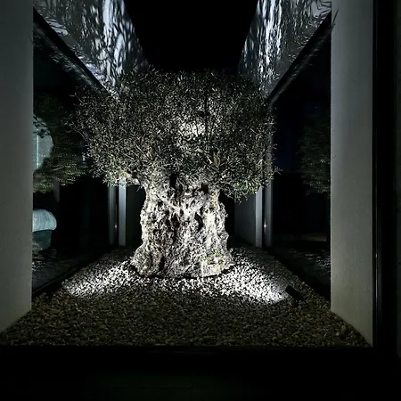 别墅 Residencia De Boccagni *